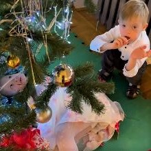 Ёлка друзей